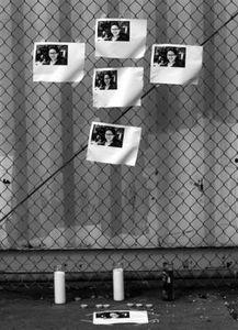 新闻诡异爆料最新视频,新闻诡异爆料背后的惊人真相